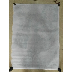 庞培法布拉大学设计学位证